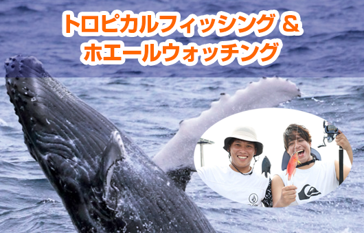 トロピカルフィッシング＆ホエールウォッチング